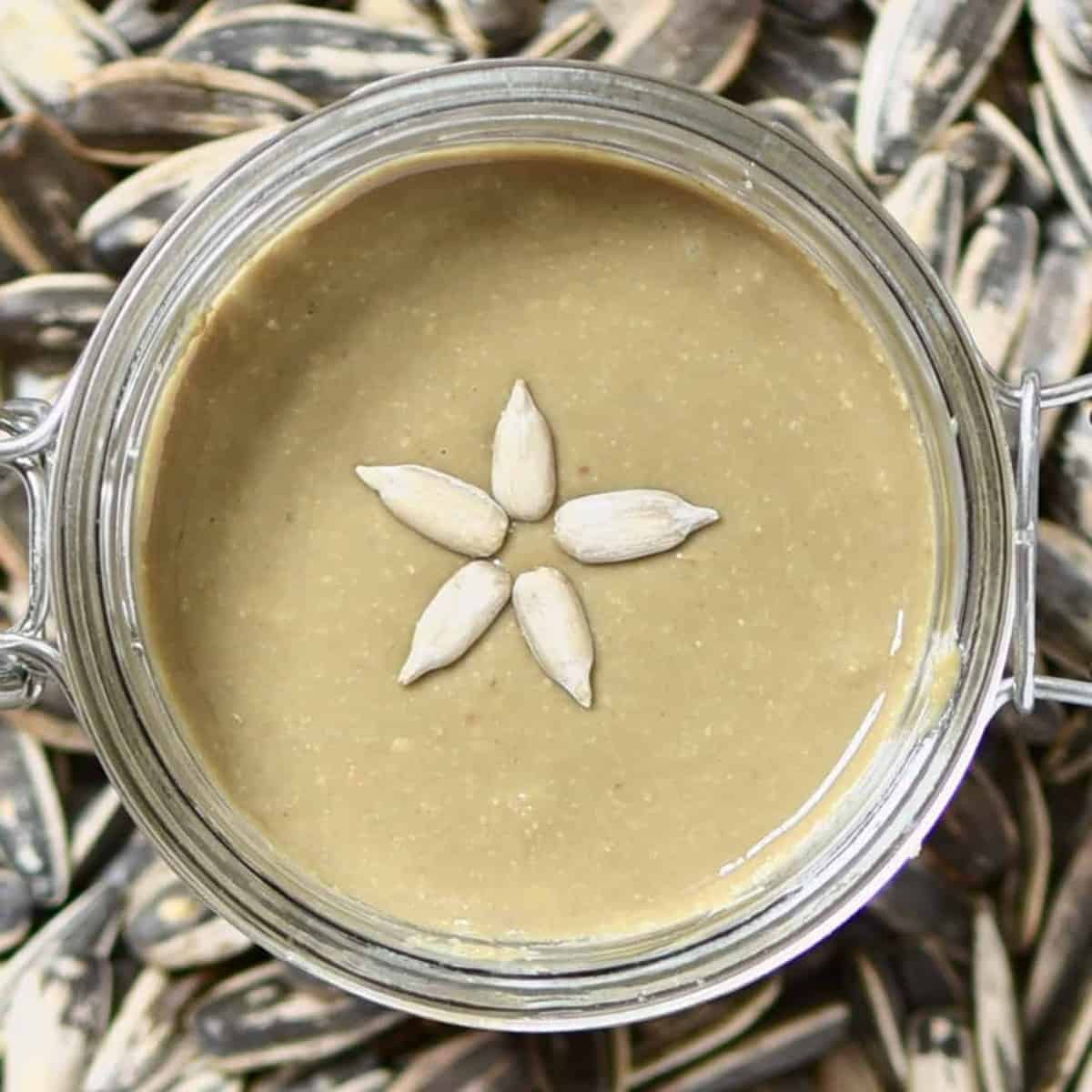 Sunflower Seed Butter